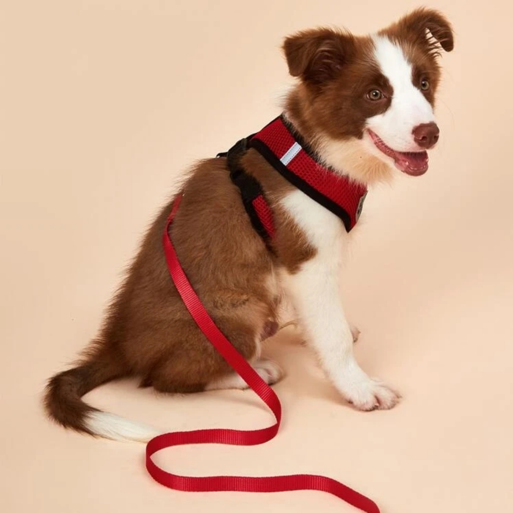 Red Mesh Dog Harness-Size Small